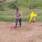 Tanam Jagung 812 Hektar, Ini Lokasi yang Ditanam Polda Sulsel