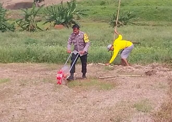 Tanam Jagung 812 Hektar, Ini Lokasi yang Ditanam Polda Sulsel