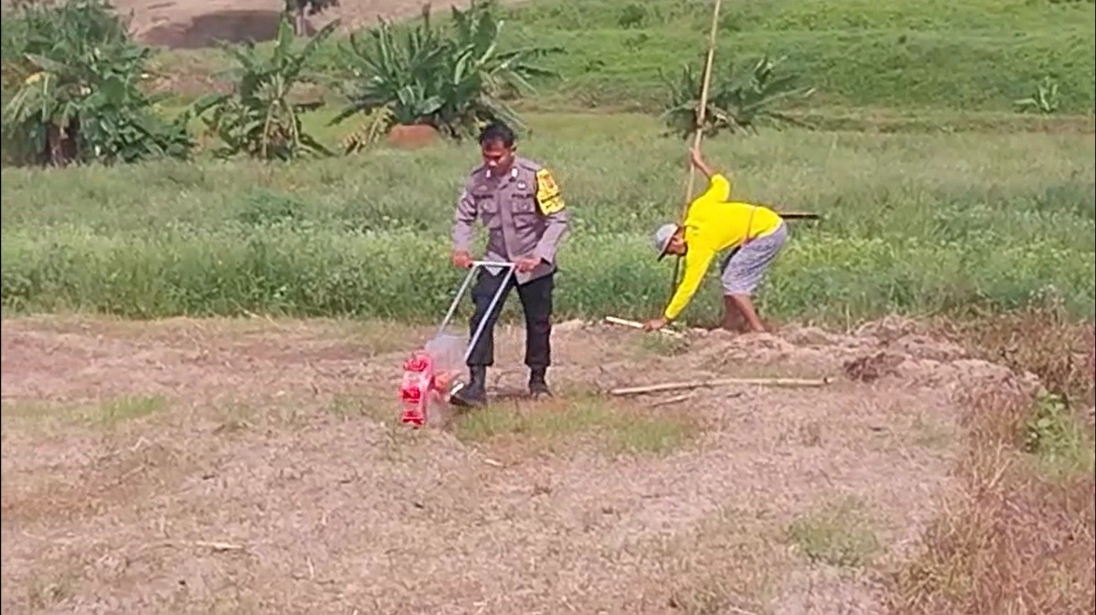 Tanam Jagung 812 Hektar, Ini Lokasi yang Ditanam Polda Sulsel