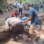 Respons Cepat Personel Polsek Saluputti Evakuasi Pohon Tumbang, Akses Ulusalu–Bittuang Kembali Normal