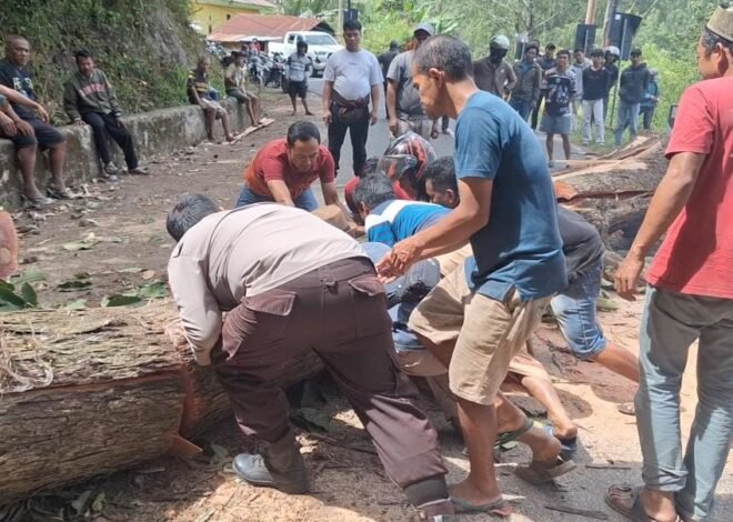 Respons Cepat Personel Polsek Saluputti Evakuasi Pohon Tumbang, Akses Ulusalu–Bittuang Kembali Normal