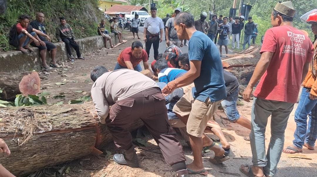 Respons Cepat Personel Polsek Saluputti Evakuasi Pohon Tumbang, Akses Ulusalu–Bittuang Kembali Normal