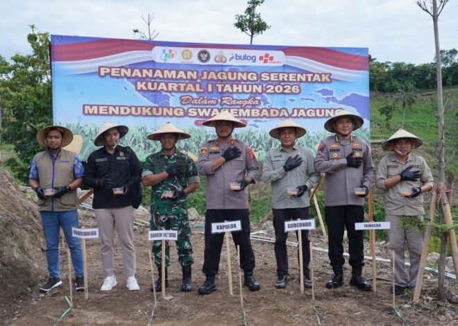 Dukung Program Pemerintah Menuju Swasembada Pangan di Wilayah, Polda Sulbar Gelar Aksi Tanam Jagung