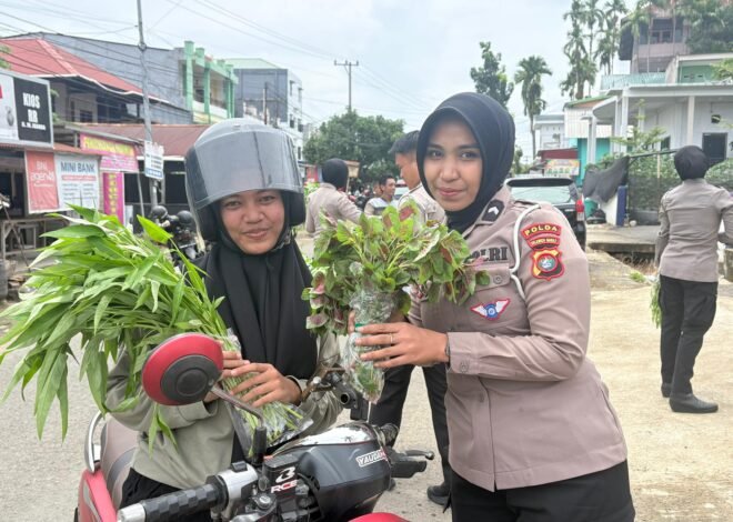 Panen Raya di Pekarangan Pangan Lestari Ditlantas, Hasilnya Dibagikan ke Pengendara Tertib Secara Gratis