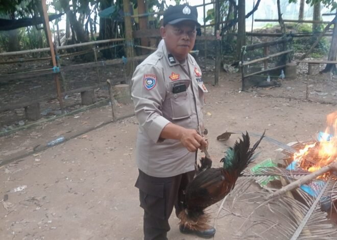 Tindak Laporan Warga, Polsek Bupon Tertibkan Arena Sabung Ayam di Buntu Batu