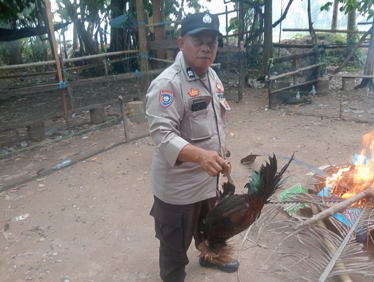Tindak Laporan Warga, Polsek Bupon Tertibkan Arena Sabung Ayam di Buntu Batu