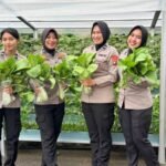 Panen Pekarangan Pangan Lestari, Ditlantas Polda Sulbar Kembali Berbagi Hasil Bagi Pengendara Tertib