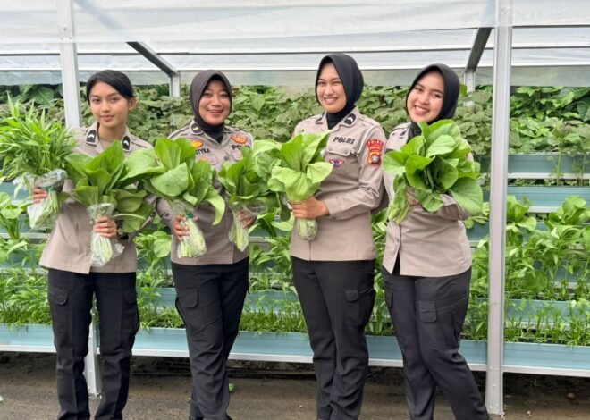 Panen Pekarangan Pangan Lestari, Ditlantas Polda Sulbar Kembali Berbagi Hasil Bagi Pengendara Tertib