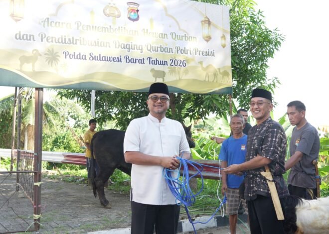 17 Sapi dan 33 Kambing Disembelih, Polda Sulbar Bagikan Daging Qurban untuk Personel dan Masyarakat