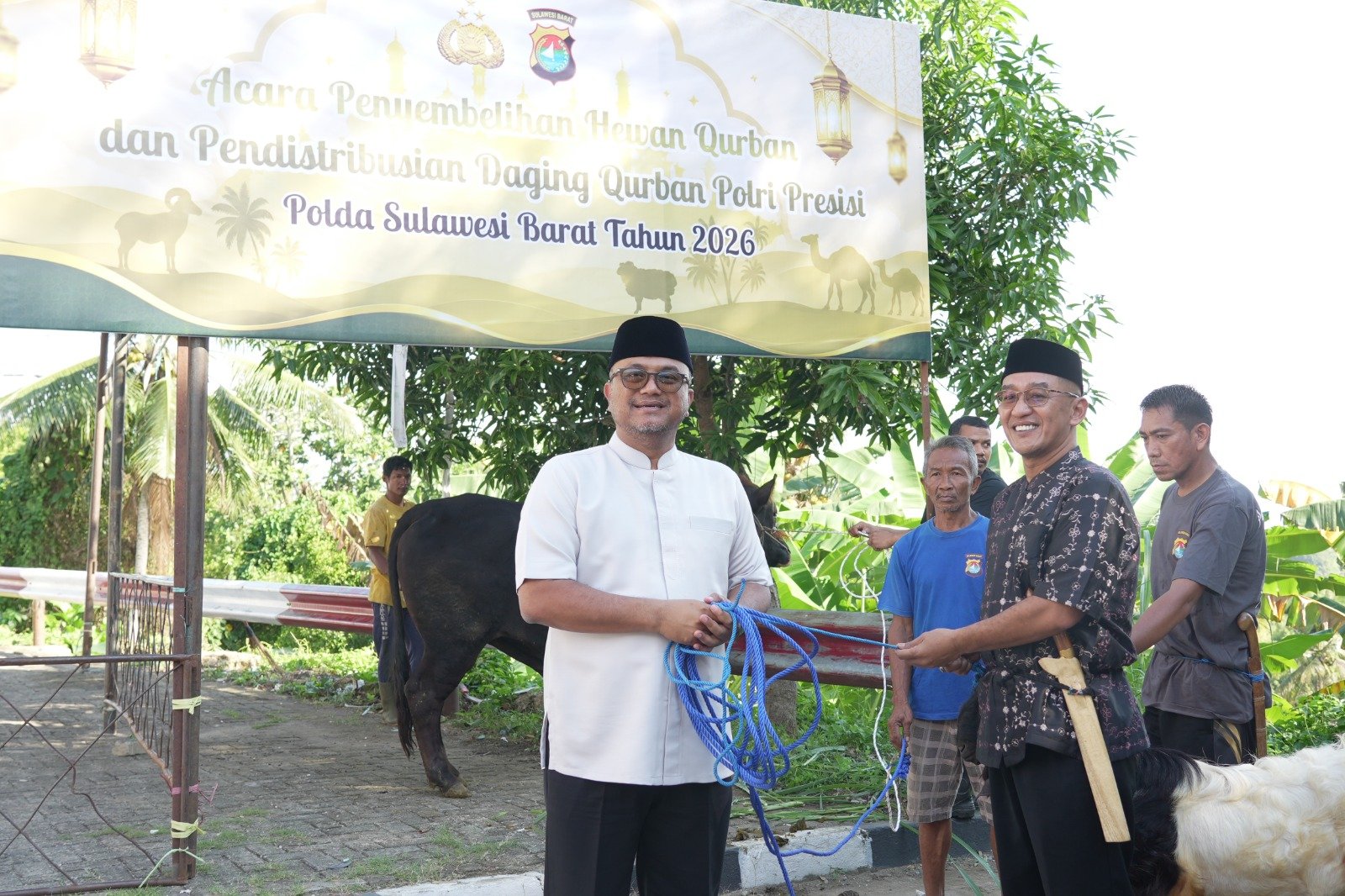 17 Sapi dan 33 Kambing Disembelih, Polda Sulbar Bagikan Daging Qurban untuk Personel dan Masyarakat