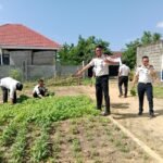 Panen Raya Sayuran Organik: Wujud Nyata Bapas Kendari dalam Mendukung Program Ketahanan Pangan Nasional