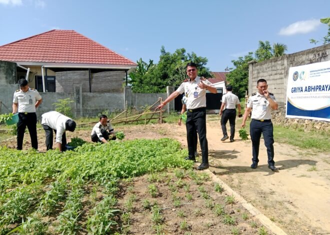 Panen Raya Sayuran Organik: Wujud Nyata Bapas Kendari dalam Mendukung Program Ketahanan Pangan Nasional