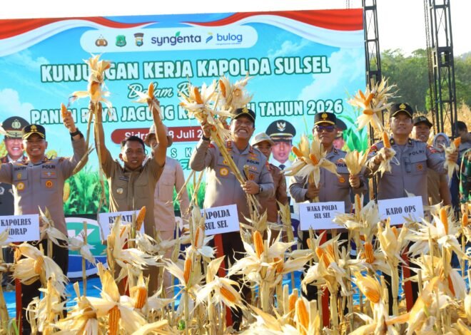 Kapolda Sulsel Hadiri Panen Raya Jagung Kuartal III di Sidrap, Dukung Swasembada Pangan Nasional