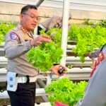 Dari Kebun ke Jalan, Ditlantas Polda Sulbar Wujudkan Ketahanan Pangan Lewat Aksi Berbagi untuk Masyarakat