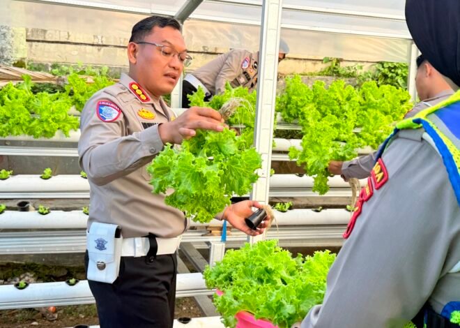 Dari Kebun ke Jalan, Ditlantas Polda Sulbar Wujudkan Ketahanan Pangan Lewat Aksi Berbagi untuk Masyarakat