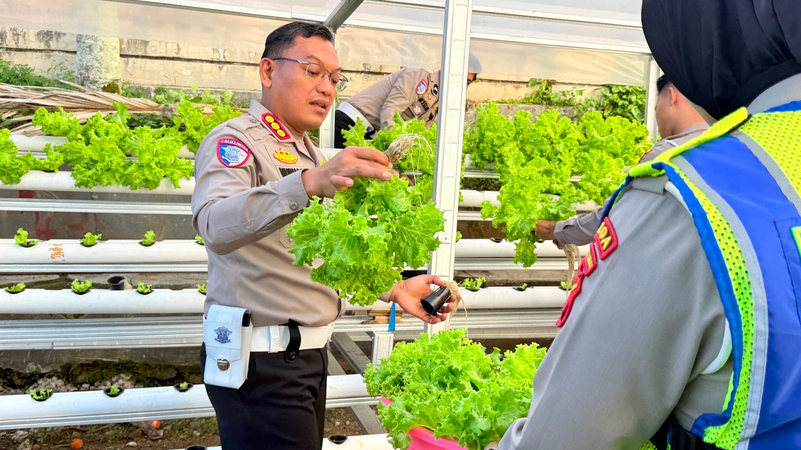 Dari Kebun ke Jalan, Ditlantas Polda Sulbar Wujudkan Ketahanan Pangan Lewat Aksi Berbagi untuk Masyarakat