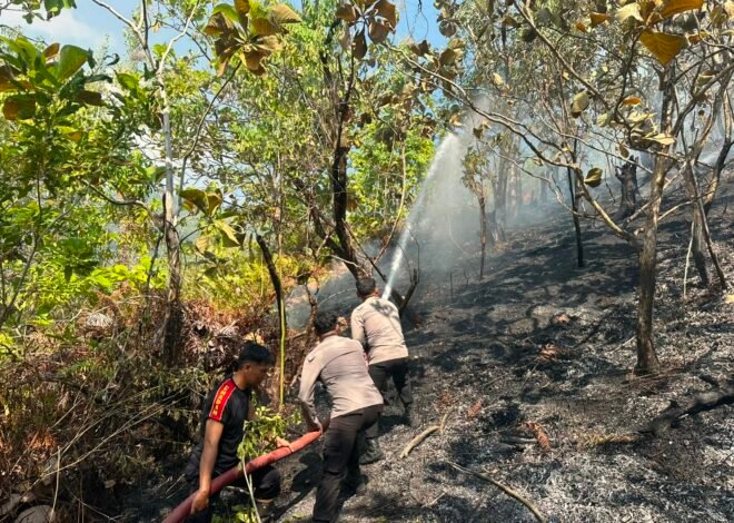 Polresta Mamuju Bersama TNI-Pemda Sigap Padamkan Karhutla di Desa Sumare, Permukiman Warga Terlindungi
